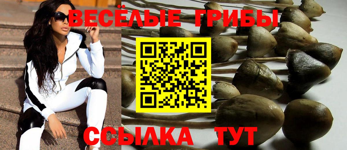 Галлюциногенные грибы MAGIC MUSHROOMS  Галлюциногенные грибы Cubensis  Майкоп  Вход с VPN 